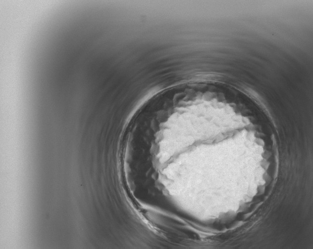 X0000080111235200612221756