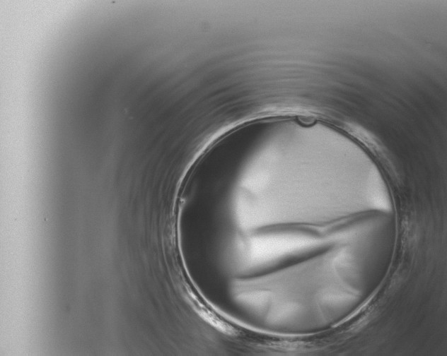 X0000080111236200612221756