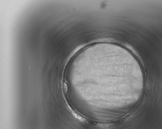 X0000080111237200612221756