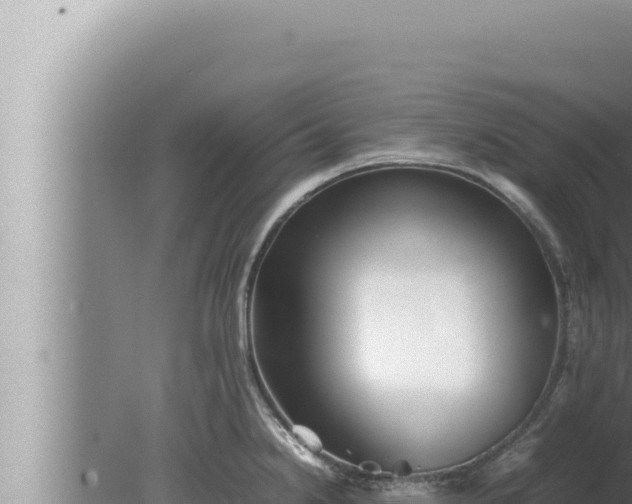 X0000080111238200612221756