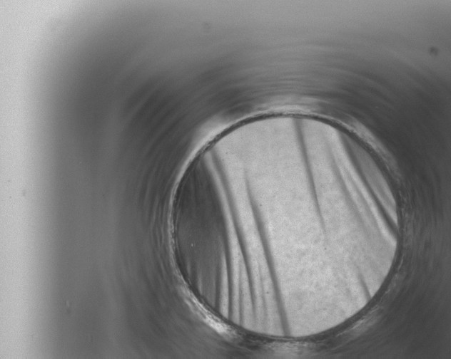 X0000080111240200612221756