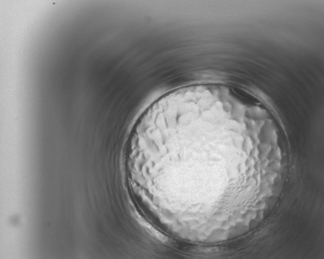 X0000080111243200612221756