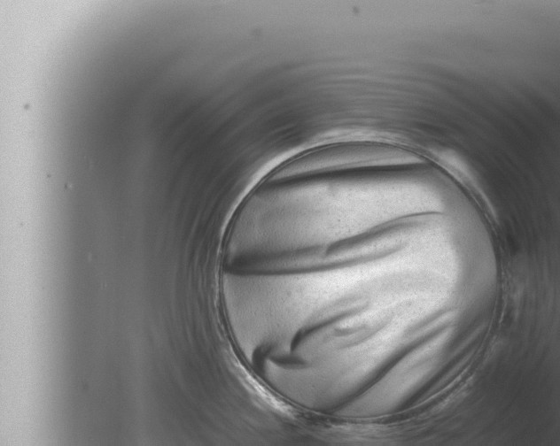 X0000080111244200612221756