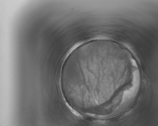 X0000080111245200612221756