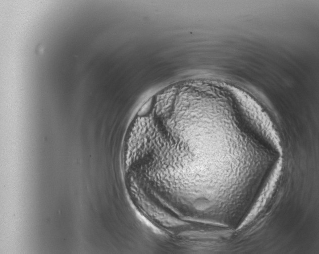 X0000080111247200612221756