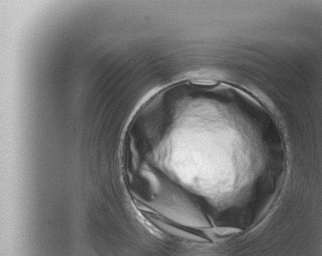 X0000080111248200612221756