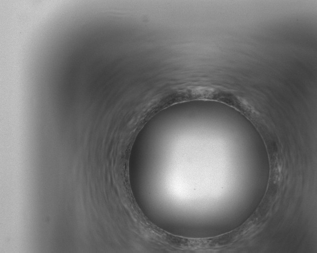 X0000080111249200612221756