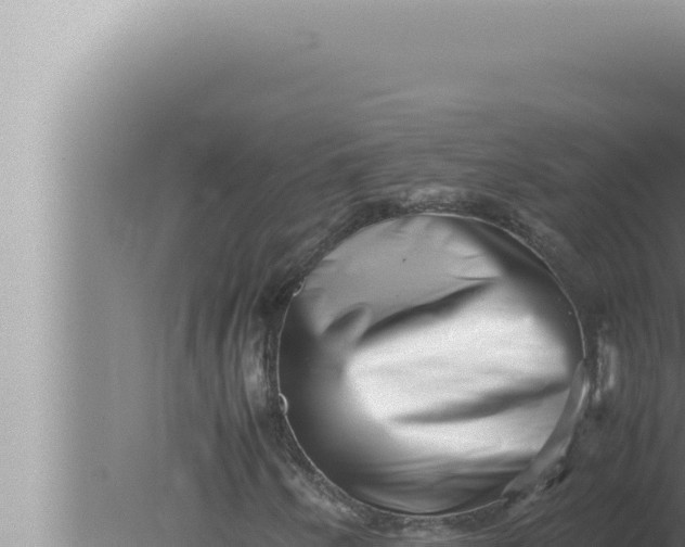 X0000080111250200612221756