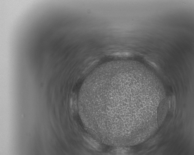 X0000080111251200612221755