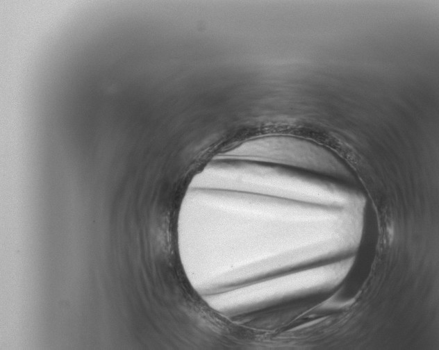 X0000080111252200612221755