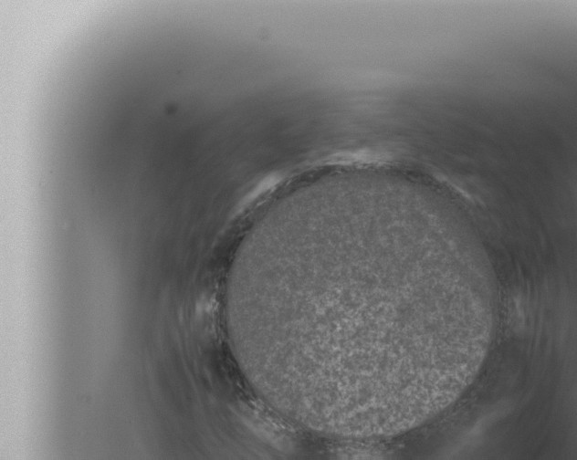 X0000080111254200612221755