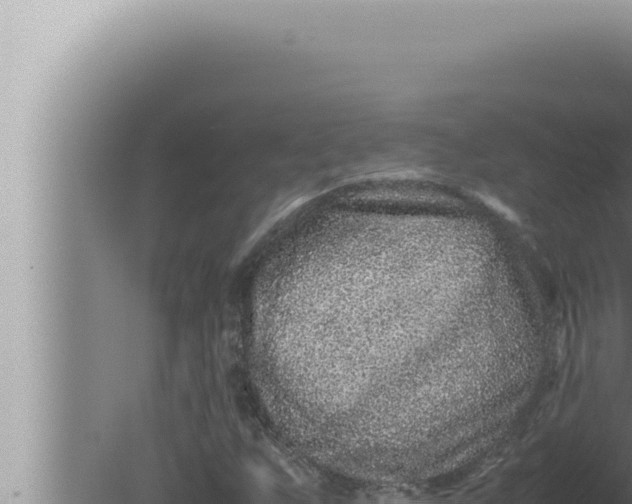 X0000080111255200612221755