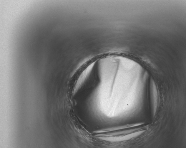 X0000080111256200612221755