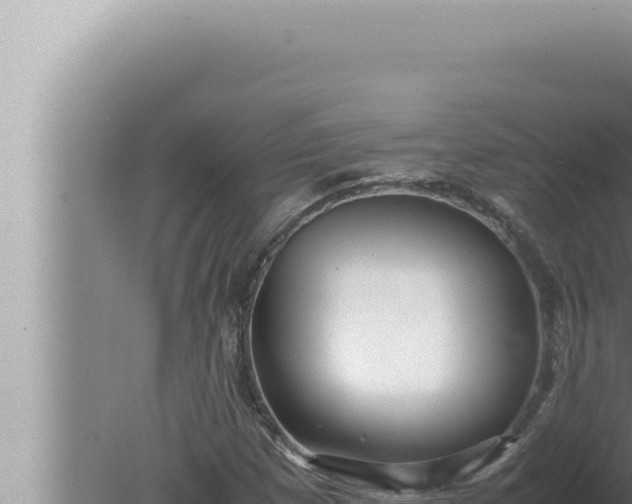 X0000080111257200612221755