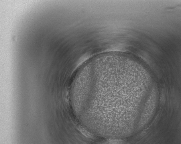 X0000080111258200612221755