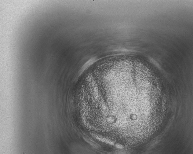 X0000080111259200612221755