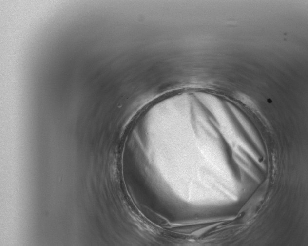 X0000080111260200612221755