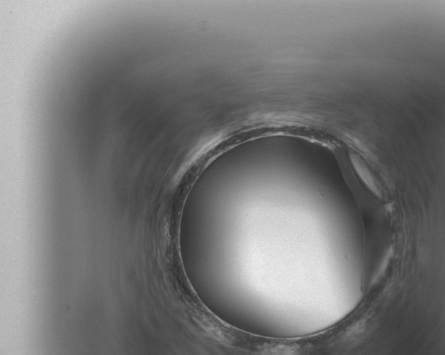 X0000080111261200612221755