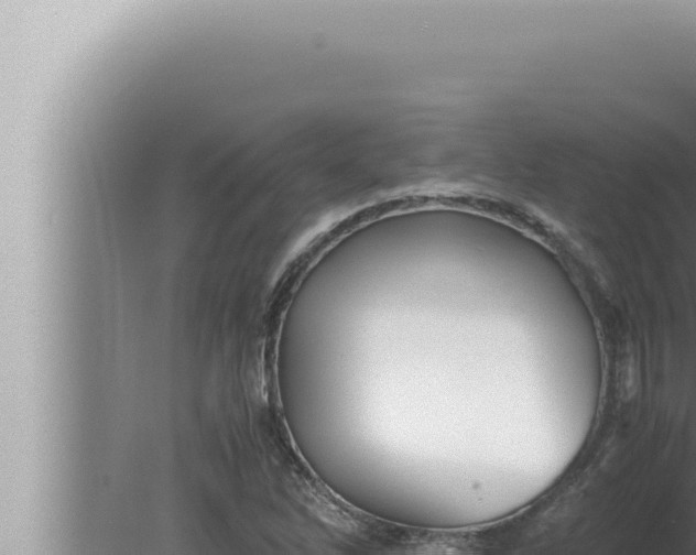 X0000080111262200612221755