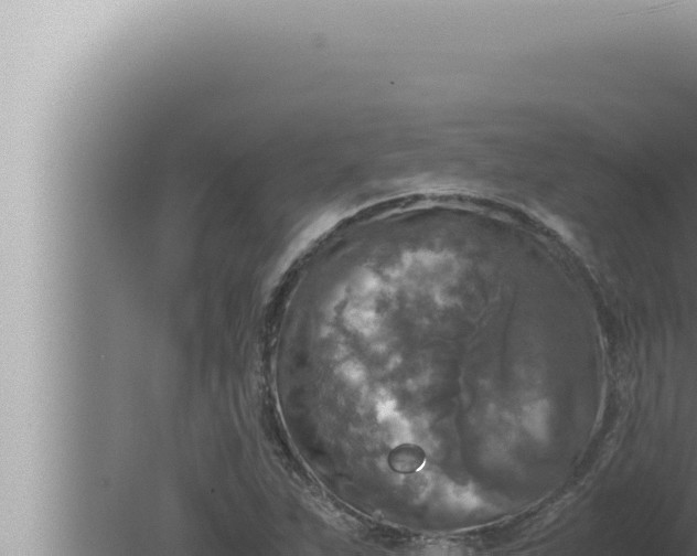 X0000080111263200612221755