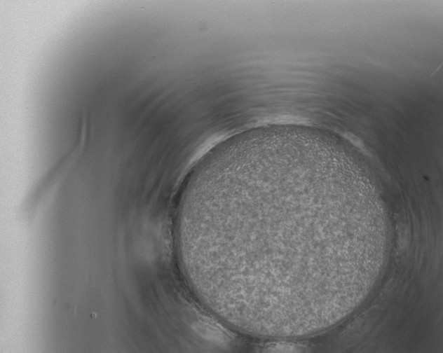 X0000080111266200612221755