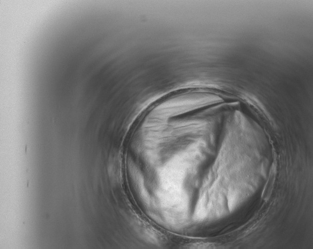 X0000080111268200612221755