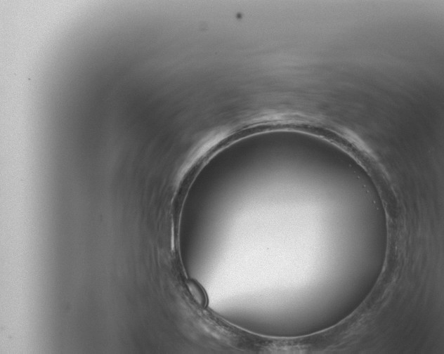 X0000080111269200612221755