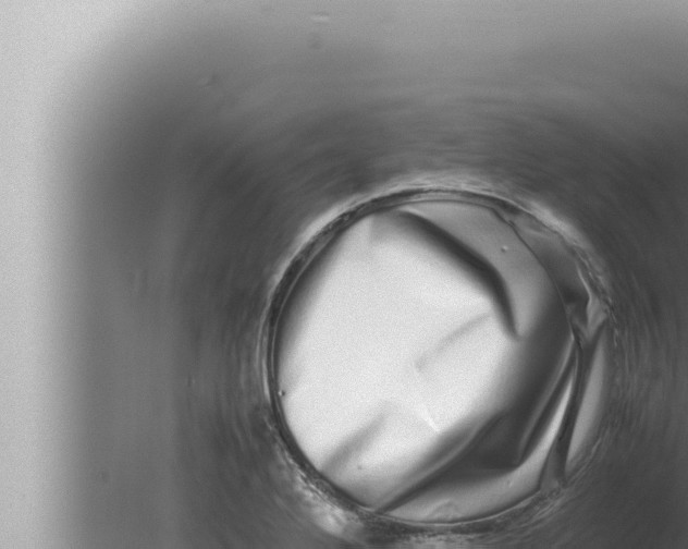 X0000080111272200612221755