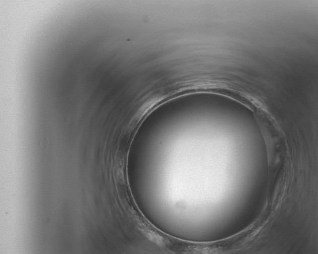 X0000080111273200612221755