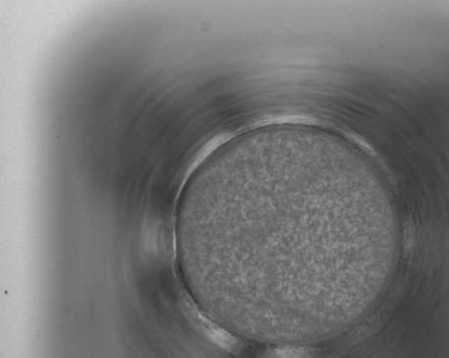 X0000080111274200612221755