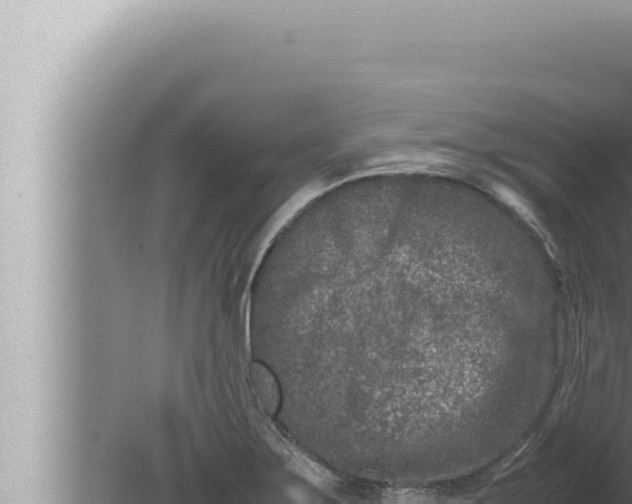 X0000080111275200612221755