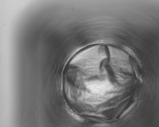 X0000080111276200612221755