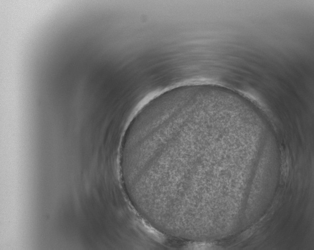 X0000080111278200612221755