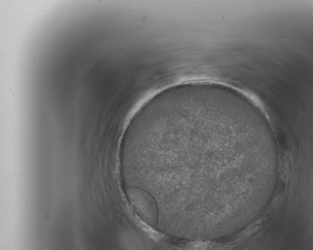 X0000080111279200612221755