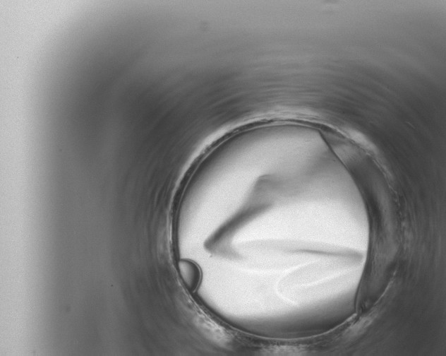 X0000080111280200612221755