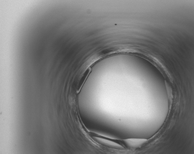 X0000080111281200612221755