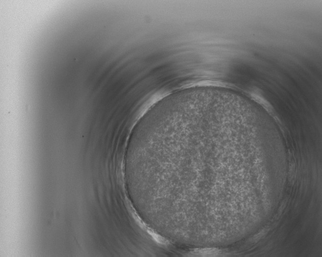 X0000080111282200612221755