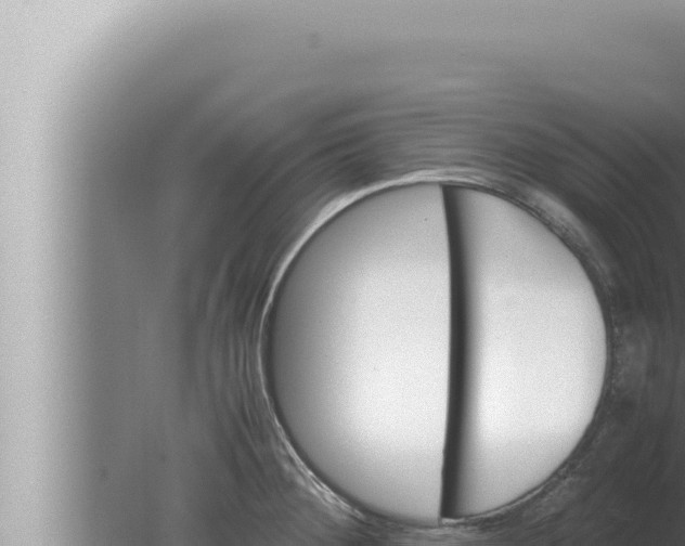 X0000080111284200612221755