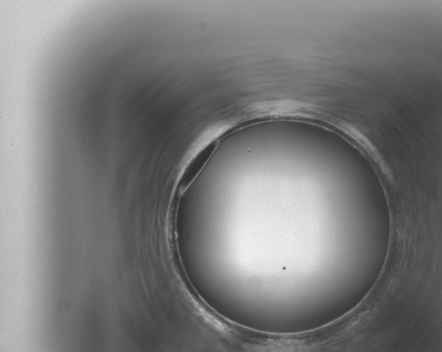 X0000080111285200612221755