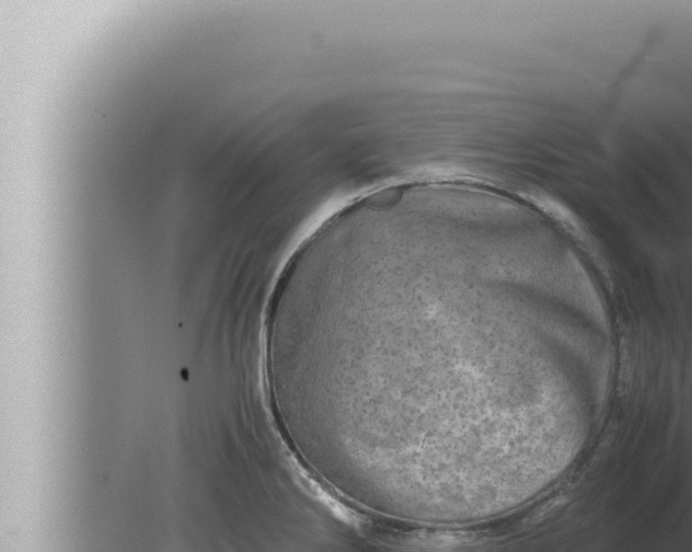 X0000080111286200612221755