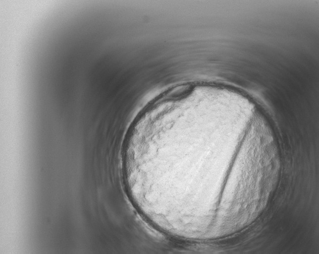 X0000080111287200612221755