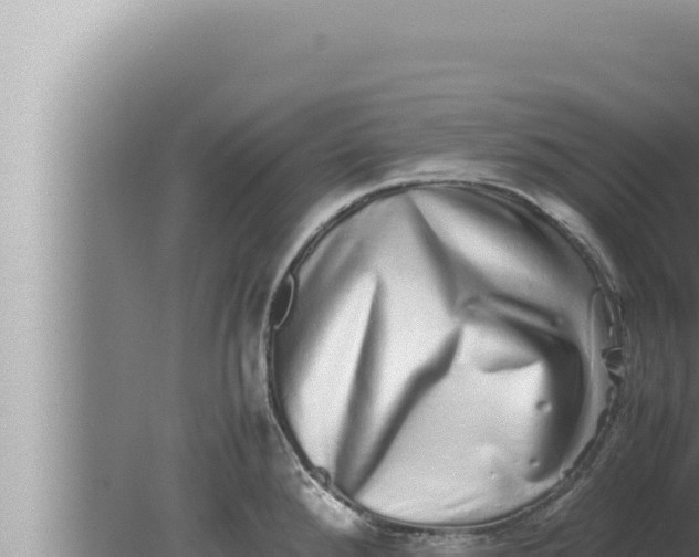 X0000080111288200612221755