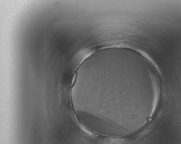 X0000080111289200612221755