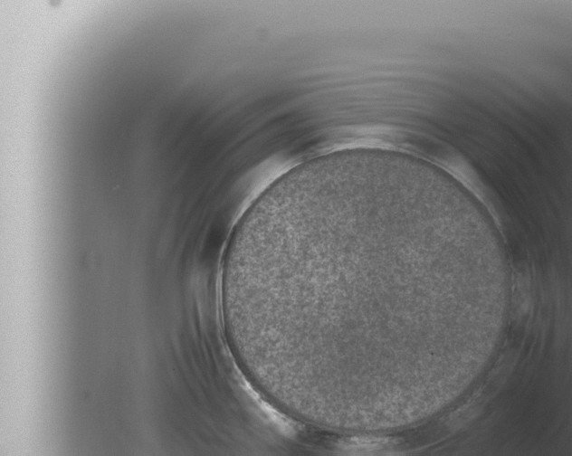 X0000080111290200612221755