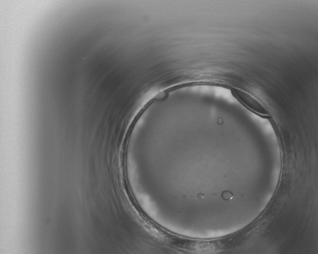 X0000080111291200612221755