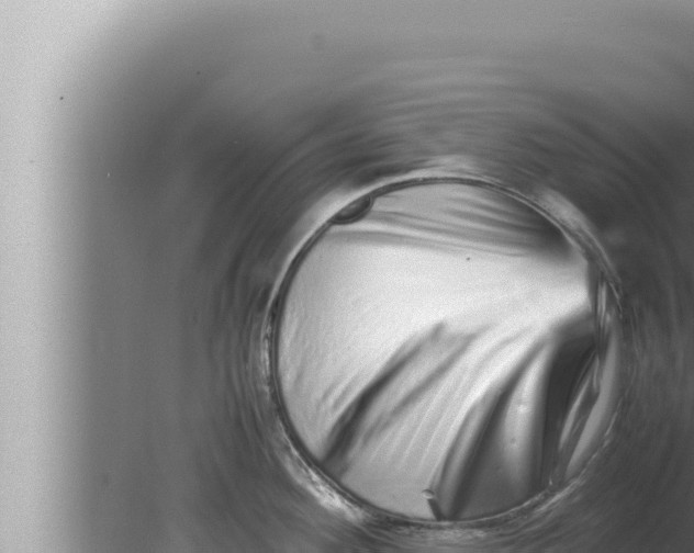 X0000080111292200612221755