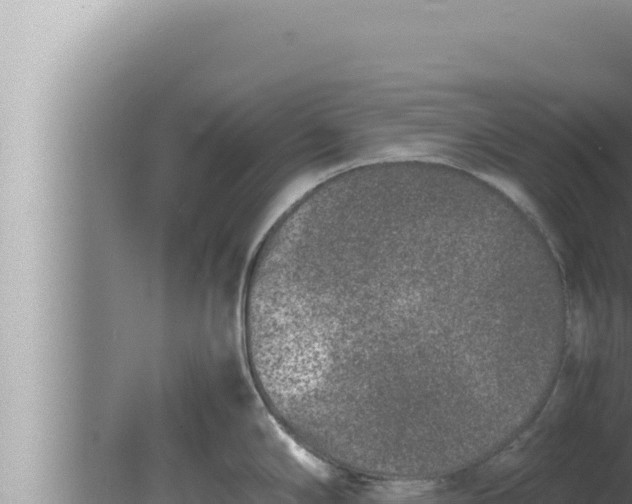 X0000080111294200612221755