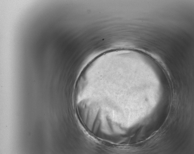 X0000080111295200612221755