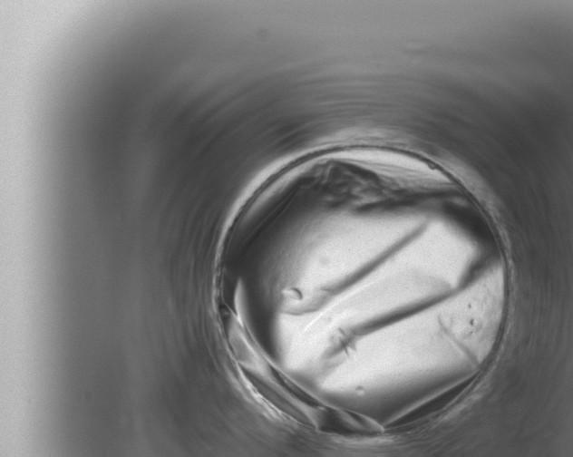 X0000080111296200612221755