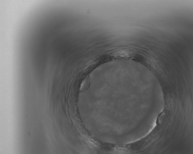 X0000080111297200612221754